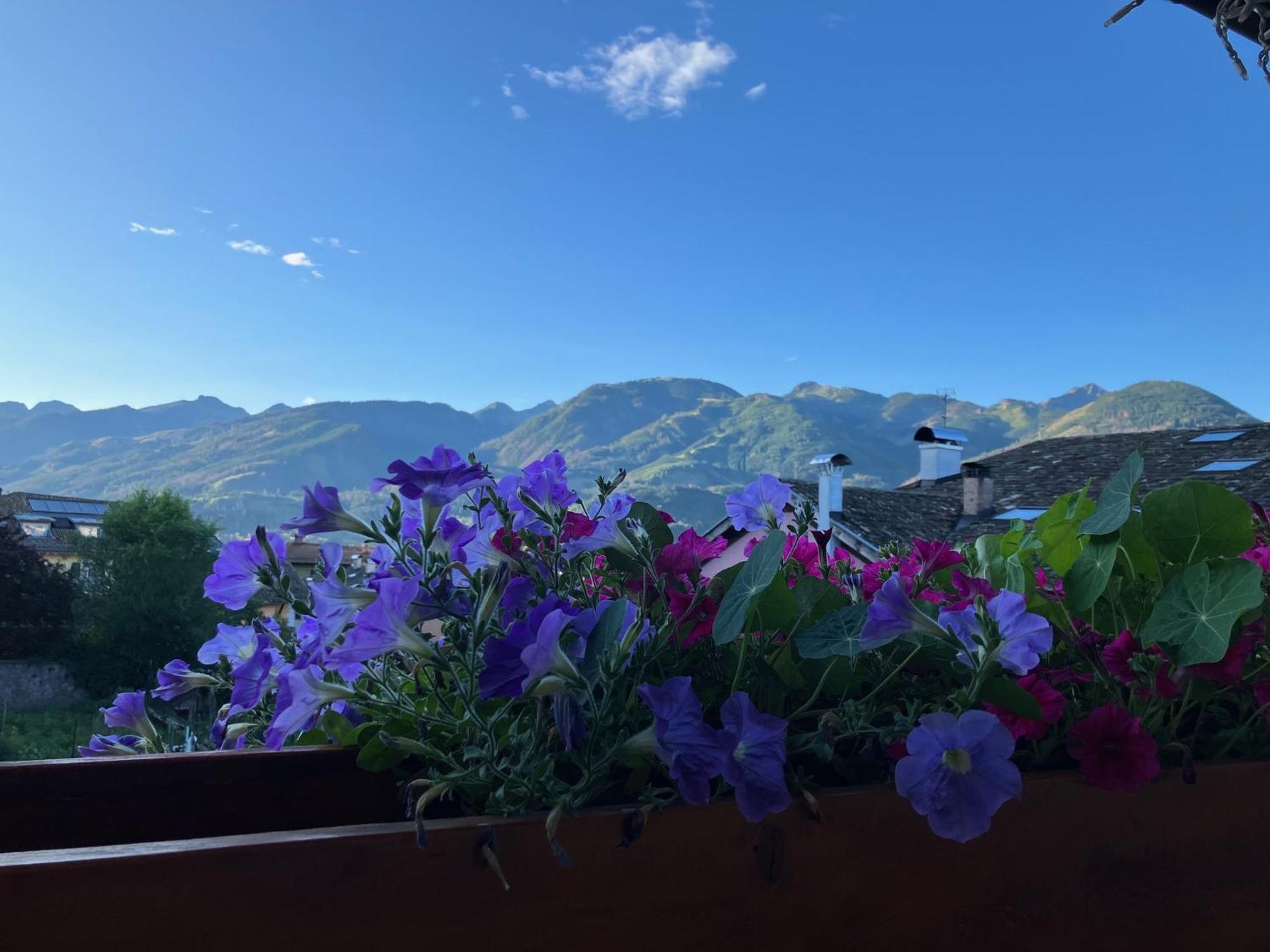 Hotel Garni Salvanel Cavalese Bagian luar foto